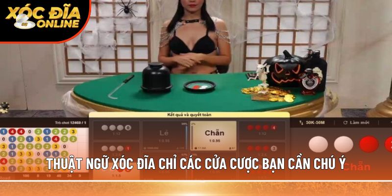 Thuật ngữ xóc đĩa chỉ các cửa cược bạn cần chú ý