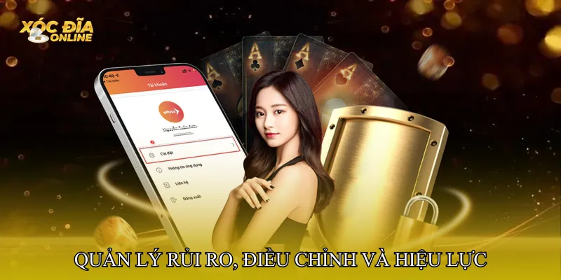 Quản lý rủi ro, điều chỉnh và hiệu lực