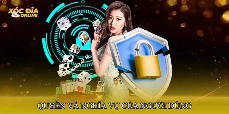 Quyền và nghĩa vụ của người dùng